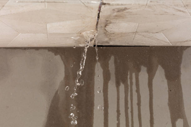 Professional Sewage Cleanup technician working in Plano, TX